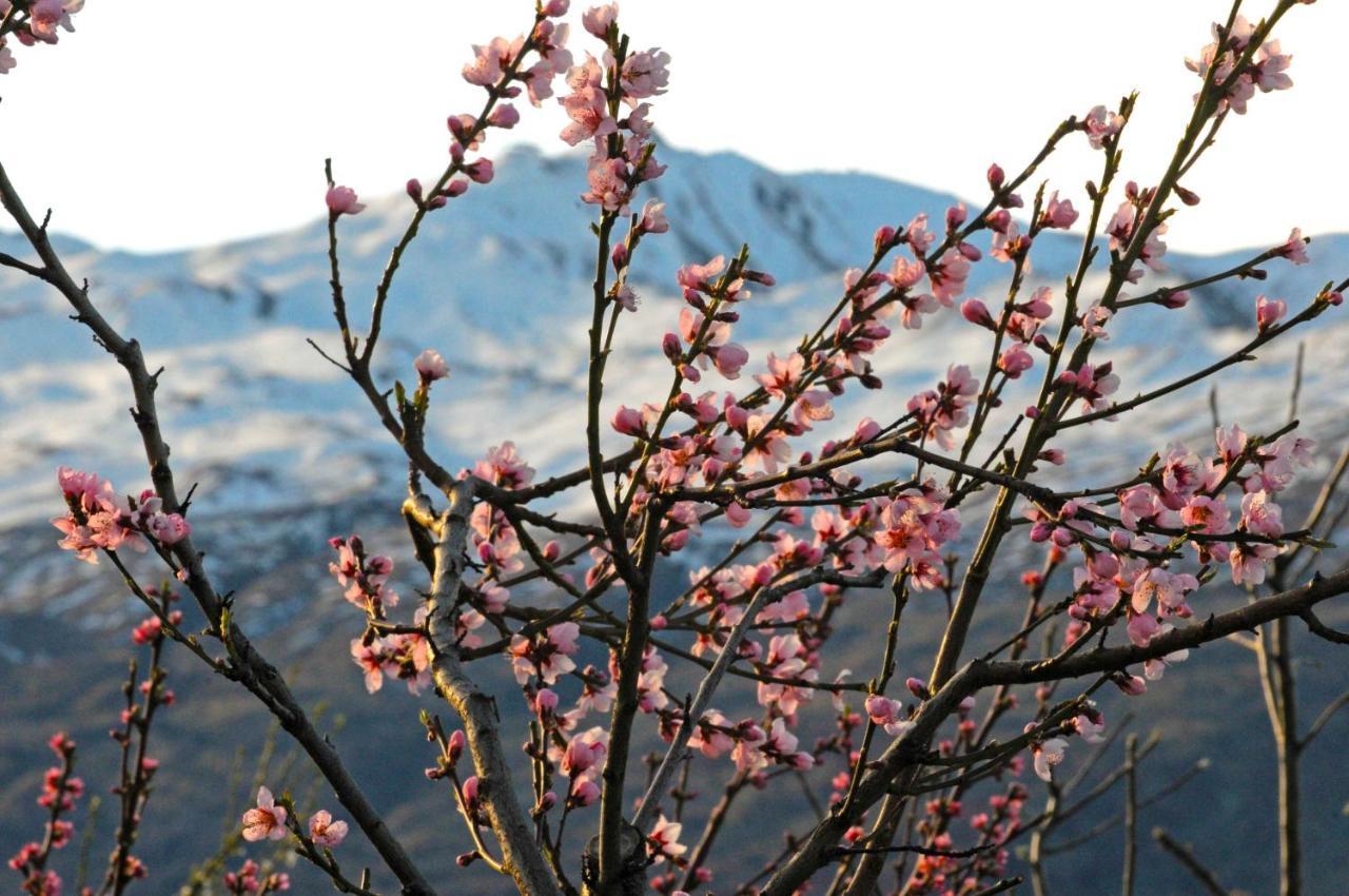 Hawkridge Alpine Suite Queenstown Exteriér fotografie